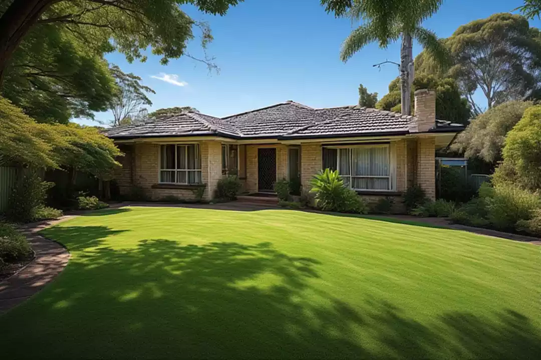 Professional landscaping in Melbourne’s western suburbs by Weed Eaters: modern garden design, lawn care and planting